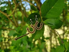 Dřevěné náušnice podkova