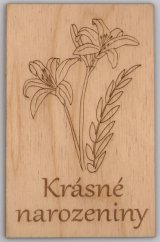 Dřevěné přání - Krásné narozeniny