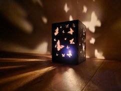 Ilustrační foto. Motiv motýlci.