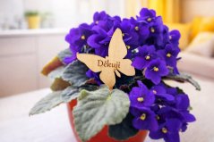 Dřevěný zápich do květináče