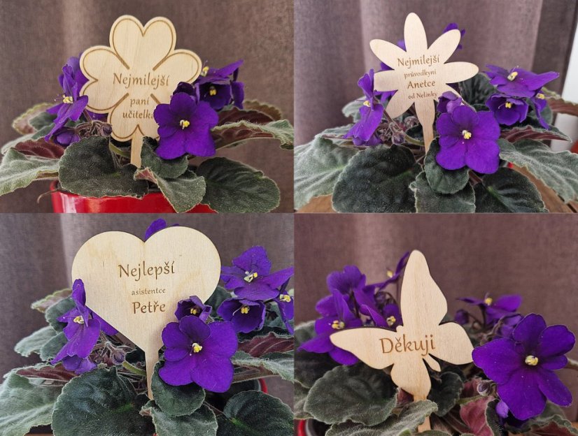 Zápich do květináče