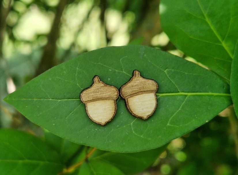 Dřevěné náušnice žalud