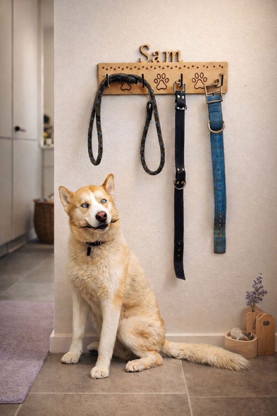 Dřevěný věšák na vodítka se jménem psa (březová překližka)
