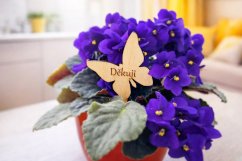 Dřevěný zápich do květináče